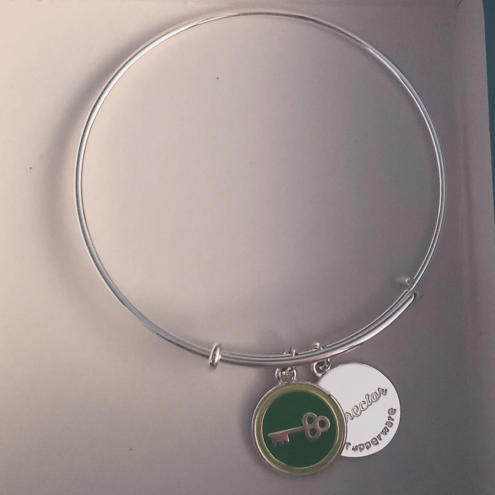 Tupperware recognition bracelet directoe
